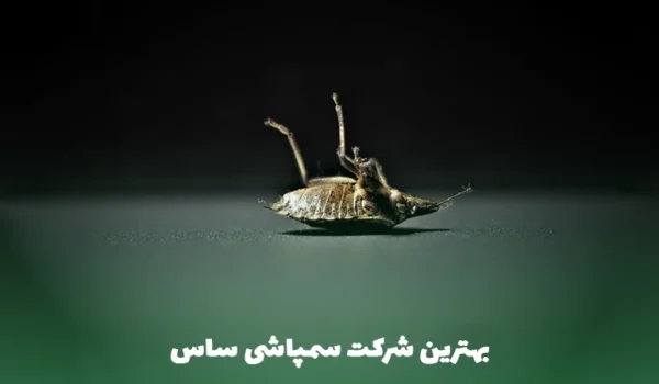 الو اوستا بهترین شرکت سمپاشی ساس