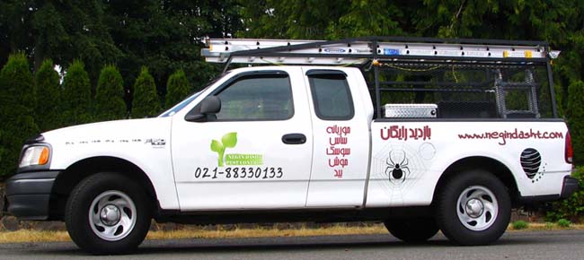 شرکت نگین دشت