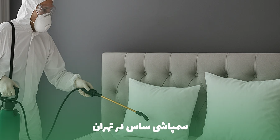 سمپاشی ساس در تهران