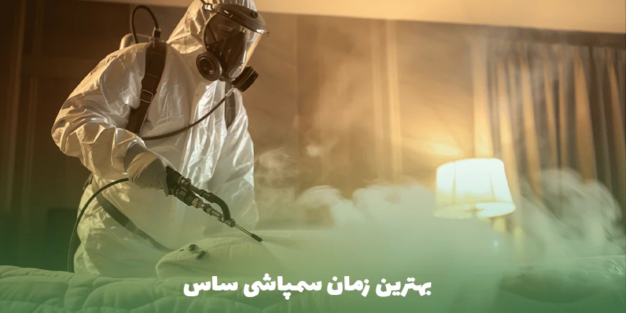 بهترین زمان سمپاشی ساس