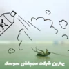 بهترین شرکت سمپاشی سوسک