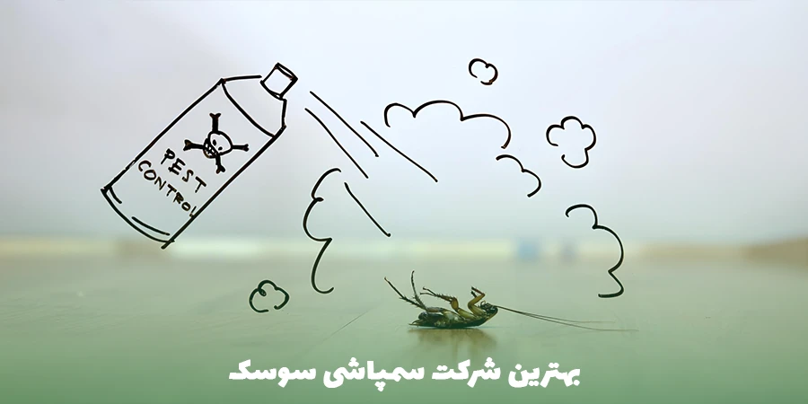 بهترین شرکت سمپاشی سوسک