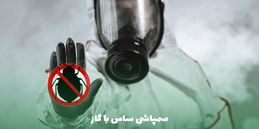 سمپاشی ساس با گاز