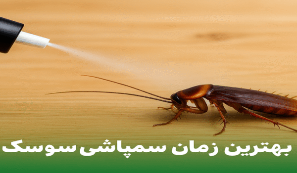 بهترین زمان سمپاشی سوسک