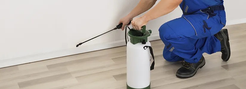 قیمت سمپاشی منزل