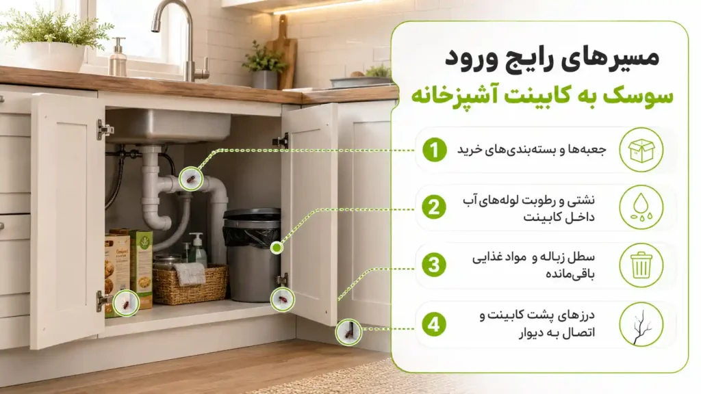 مسیرهای رایج ورود سوسک به کابینت آشپزخانه