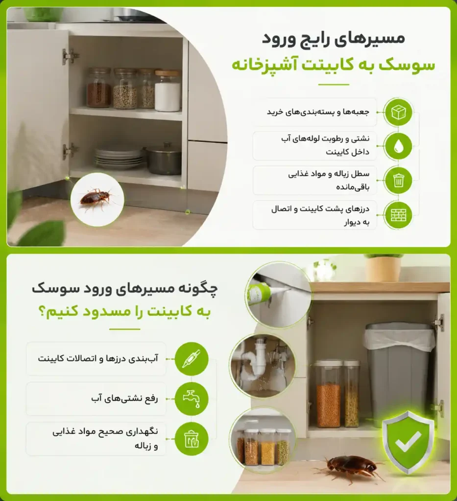 چگونه مسیرهای ورود سوسک به کابینت را مسدود کنیم؟