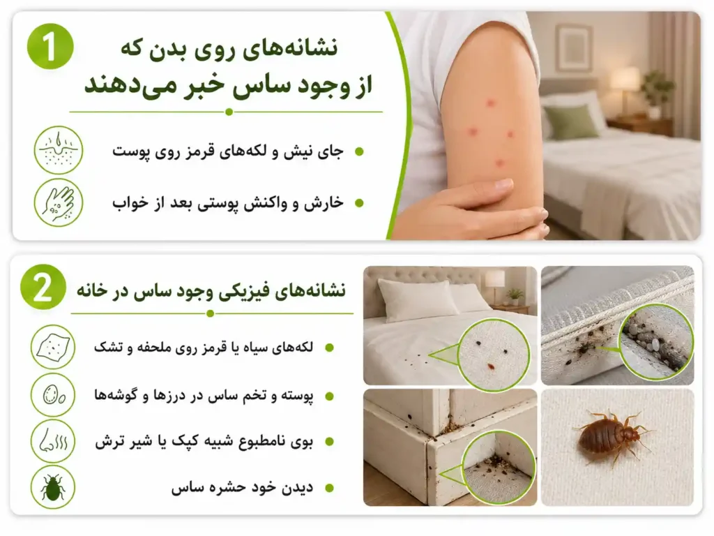 نشانه های شناسایی ساس
