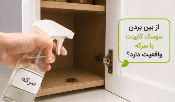 از بین بردن سوسک کابینت با سرکه واقعیت دارد؟