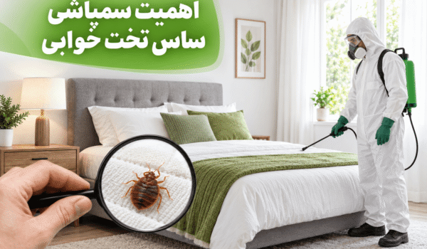 اهمیت سمپاشی ساس تخت خوابی
