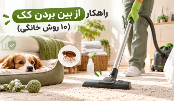 راهکار از بین بردن کک