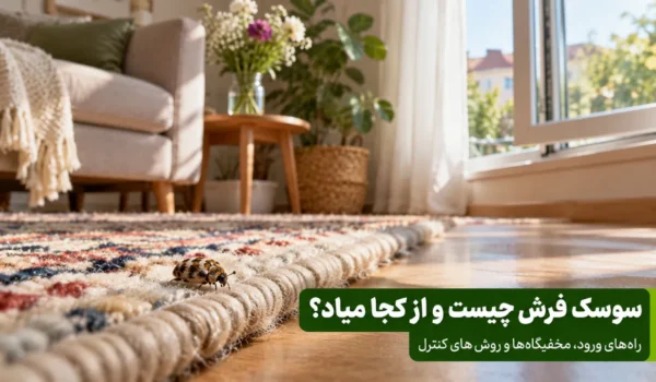 سوسک فرش چیست و از کجا میاد؟