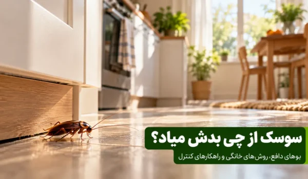 سوسک از چی بدش میاد